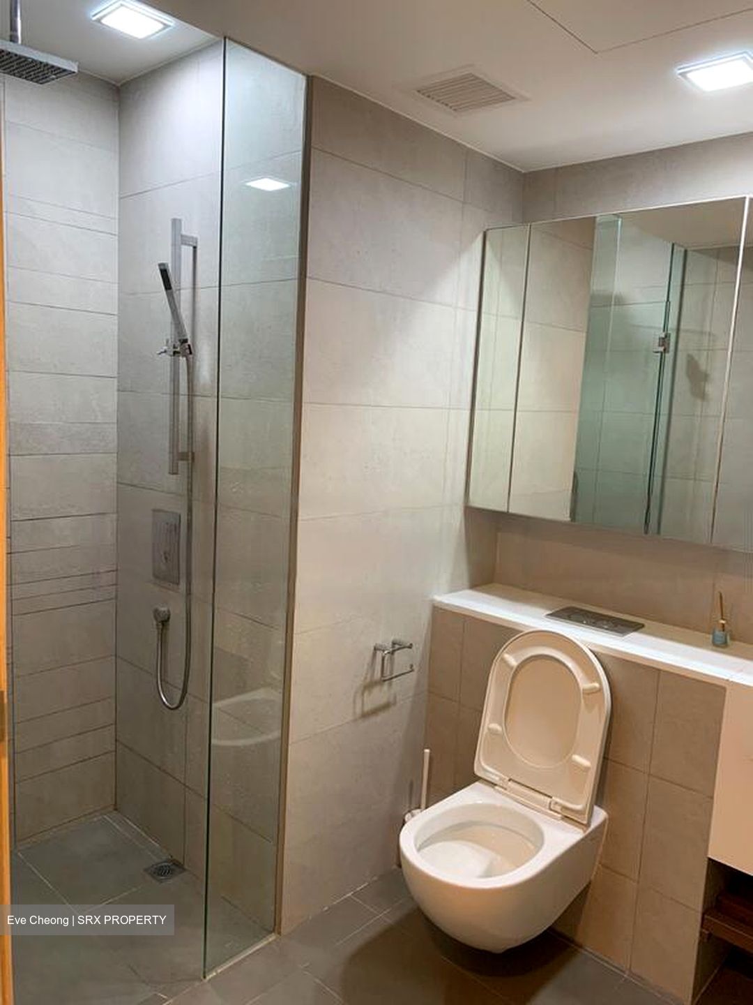 Eight Riversuites (D12), Condominium #553447221